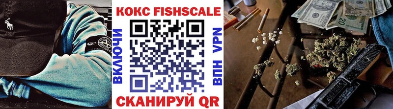 Кокаин Fish Scale кракен ссылки Петровск