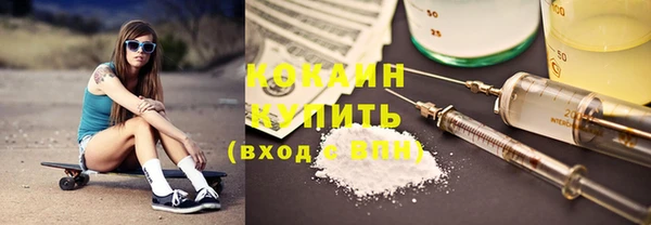 прущие грибы Балабаново