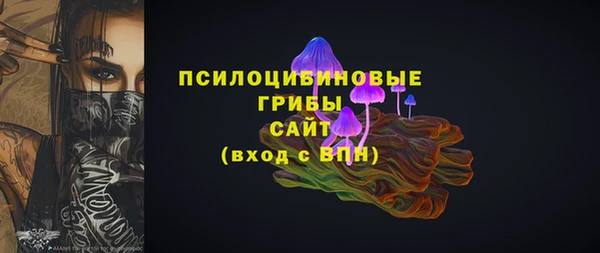 прущие грибы Балабаново