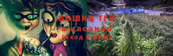 прущие грибы Балабаново