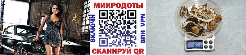 Псилоцибиновые грибы GOLDEN TEACHER  ссылка на мегу tor  Петровск 
